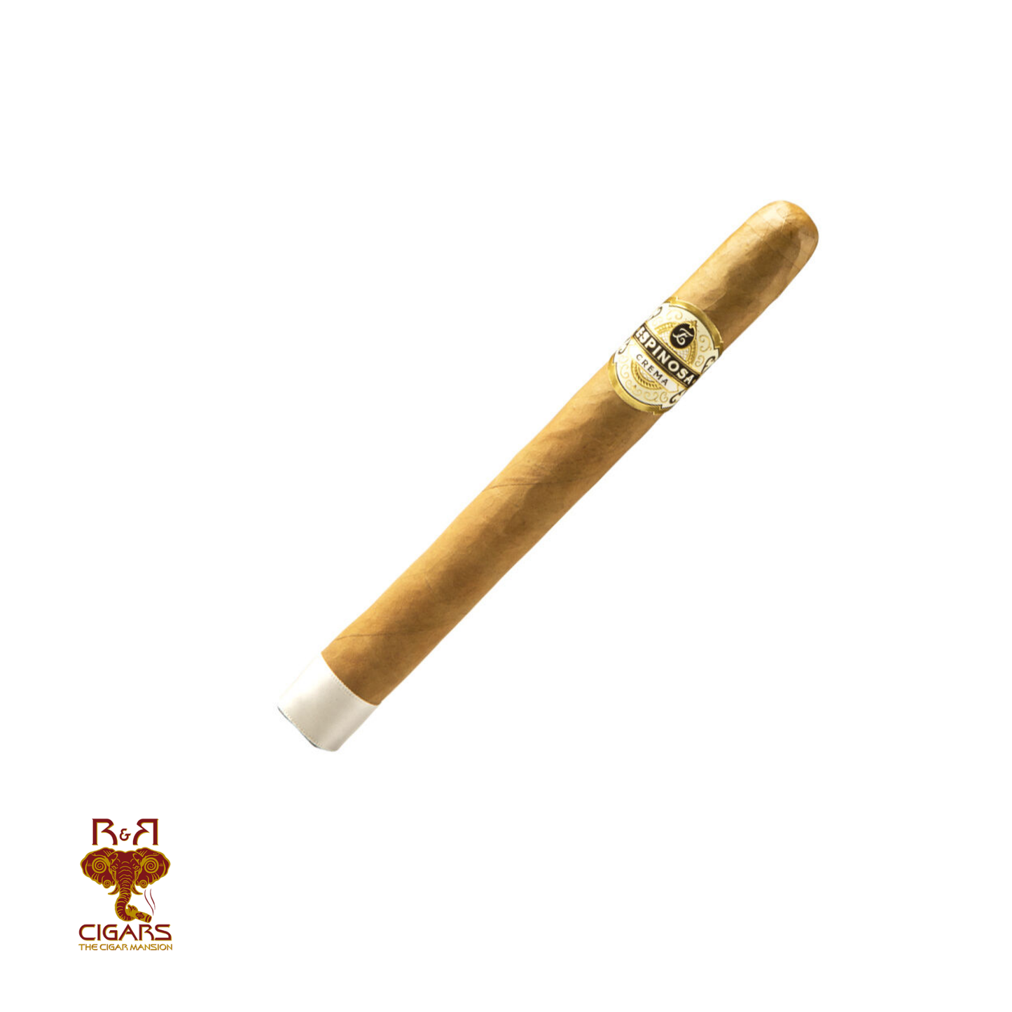Espinosa Crema Churchill