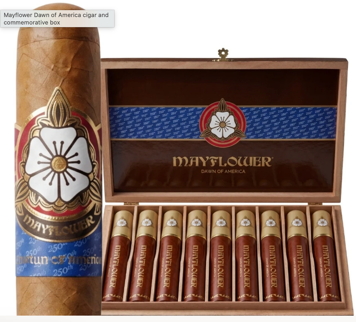 Mayflower Dawn of America Tube
