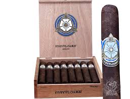 Mayflower Dream Toro