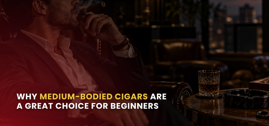 Why Medium-Bodied Cigars Are a Great Choice for Beginners