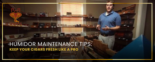 Humidor Maintenance Tips: Keep Your Cigars Fresh Like a Pro