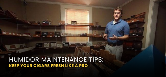 Humidor Maintenance Tips: Keep Your Cigars Fresh Like a Pro