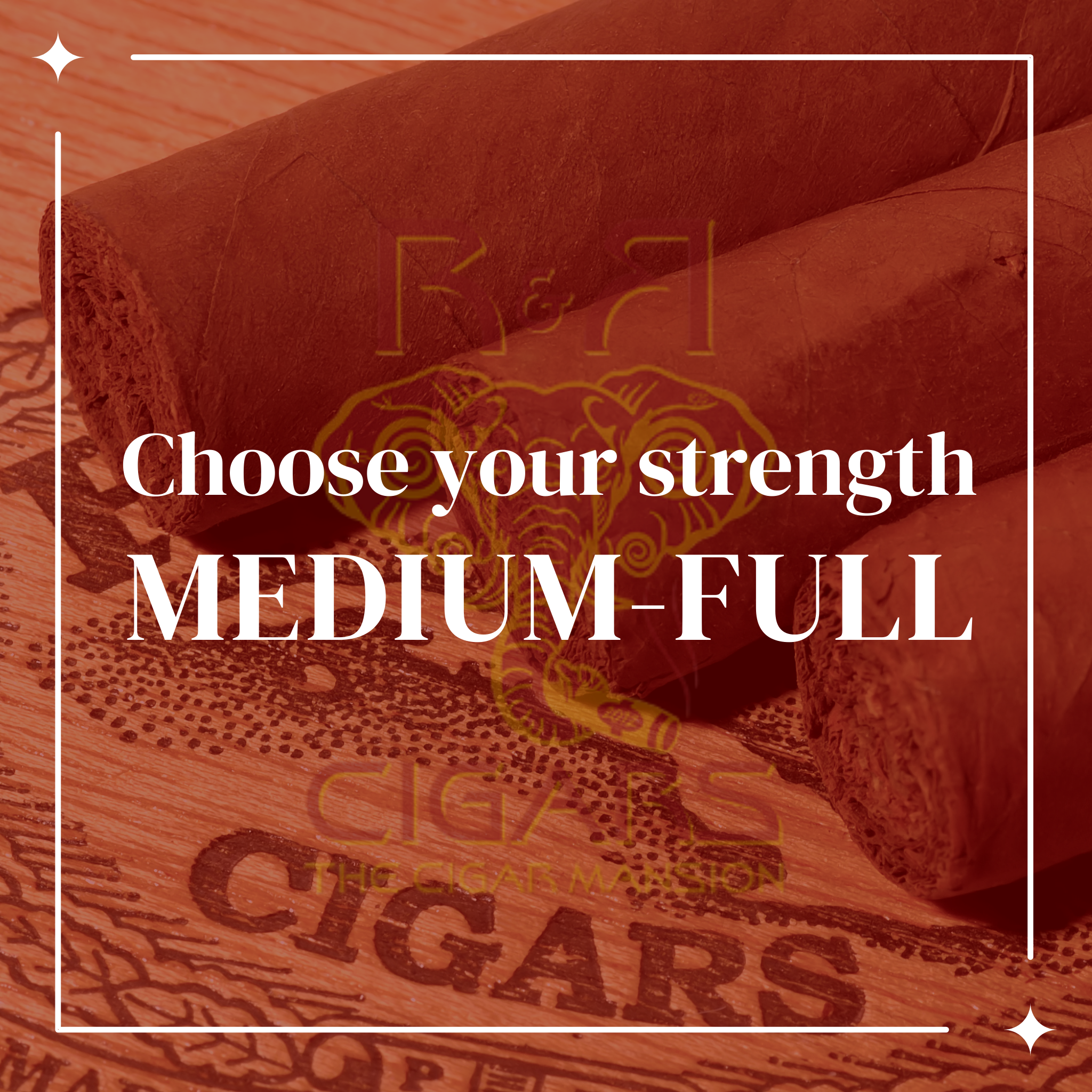 Close-up of medium to full-bodied cigars with rich wrappers, promoting cigar strength selection at RandR Cigars.