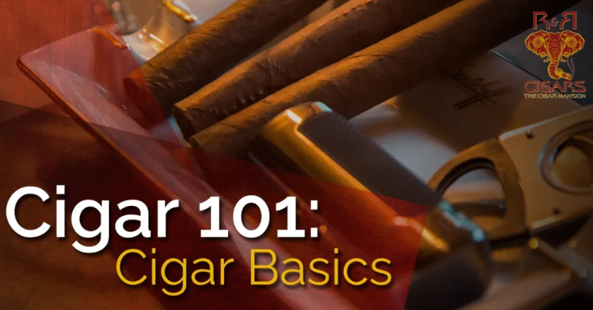 Cigar Basics Blog Image with cigars as background